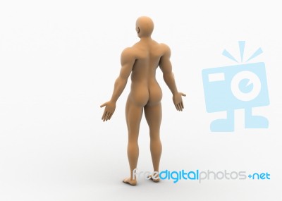 Male Body Stock Image