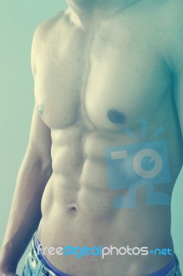 Male Chest And Muscles Stock Photo