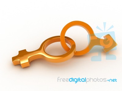 Male & Female Stock Image