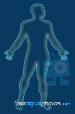 Male Human Anatomy Outline Blue Stock Image