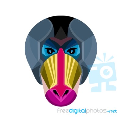 Male Mandrill Head Flat Icon Stock Image