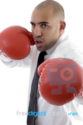 Male Wearing Boxing Gloves Stock Photo