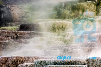 Mammoth Hot Springs Stock Photo