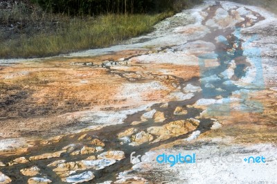 Mammoth Hot Springs Stock Photo