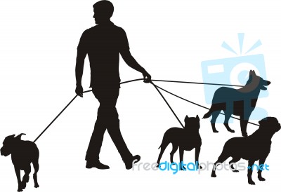 Man And Four Dogs Stock Image
