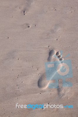 Man Foot Print On A White Sand Stock Photo