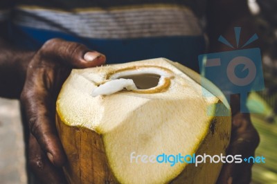 Man Holding An Open Coconut Stock Photo