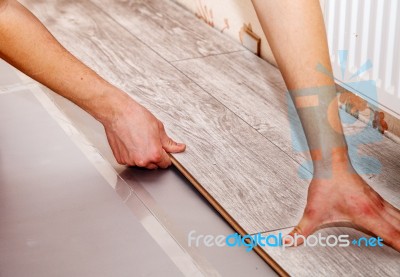 Man Laying Laminate Flooring Stock Photo
