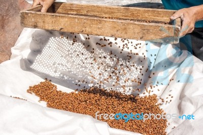 Man Sifting Through A Sieve Pine Nuts Stock Photo