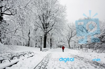 Man Walking In Snow Storm Stock Photo