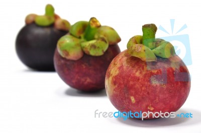 Mangosteen Stock Photo