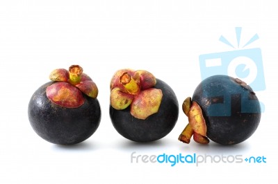 Mangosteen Stock Photo