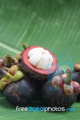 Mangosteen Stock Photo