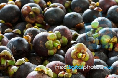 Mangosteen Stock Photo