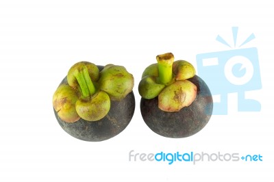 Mangosteen Stock Photo