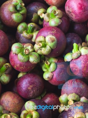 Mangosteen Stock Photo