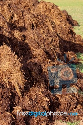 Manure For Organic Farming Stock Photo Manure For Organic Farming Stock Photo