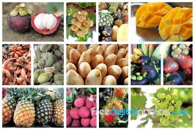 Many Type Of Tropical Fruits Stock Photo