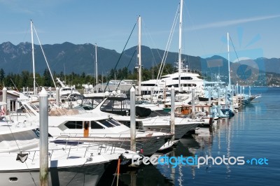 Marina In Vancouver Canada Stock Photo
