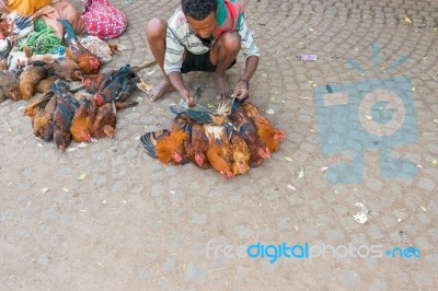 Market Place In Bahir Dar Stock Photo