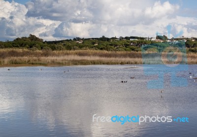 Marshlands In The Algarve Region Stock Photo