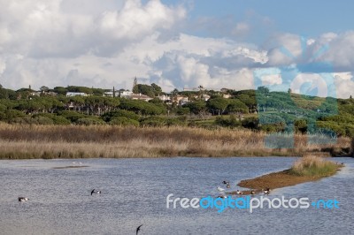 Marshlands In The Algarve Region Stock Photo