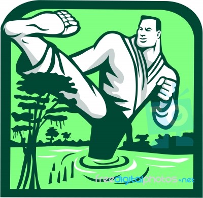 Martial Arts Fighter Kicking Cypress Tree Retro Stock Image