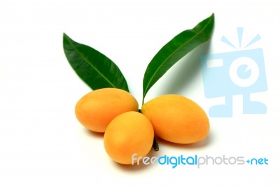 Mayongchid , Mayongchit Marian Plum, Gandaria, Plum Mango Stock Photo