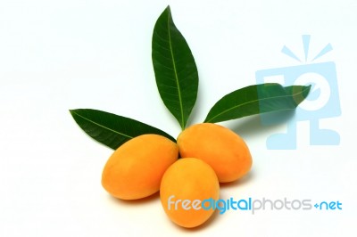 Mayongchid , Mayongchit Marian Plum, Gandaria, Plum Mango Stock Photo