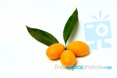 Mayongchid , Mayongchit Marian Plum, Gandaria, Plum Mango Stock Photo