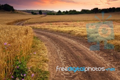 Mazy Road Stock Photo