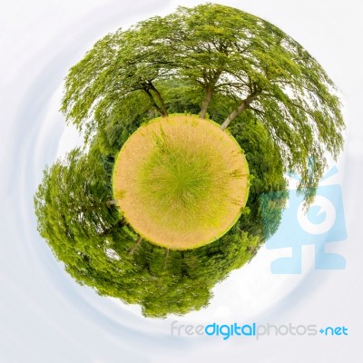 Meadow With Trees Like Little Planet Stock Photo