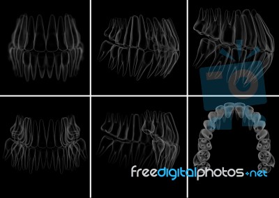Medical Illustration Of The Tooth On  Background Stock Image