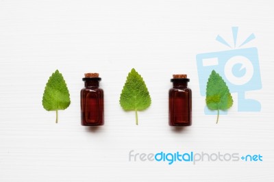 Melissa Lemon Balm Essential Oil With Fresh Leaves Stock Photo
