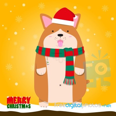 Merry Christmas Cute Big Fat Welsh Corgi Dog Stock Image