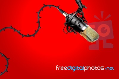Microphone With Thorns On The Wire Stock Photo