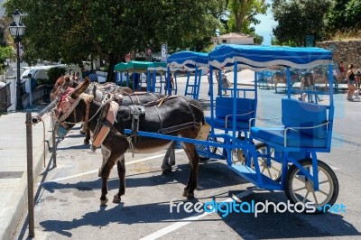 Mijas, Andalucia/spain - July 3 : Donkey Taxi In Mijas Andalucia… Stock Photo