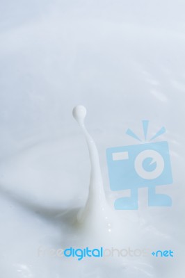 Milk Droplet Stock Photo Milk Droplet Stock Photo