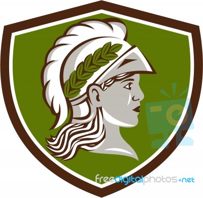 Minerva Head Crest Retro Stock Image