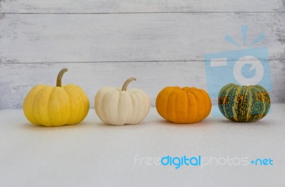 Mini Pumpkin Collection Stock Photo