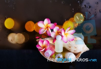Mini Set Of Bubble Bath And Shower Gel In Sea Conch Shell Stock Photo