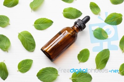 Mint Essential Oil In A Glass Bottle With Leaves On White Backgr… Stock Photo