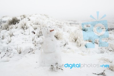 Mister Snowman Stock Photo