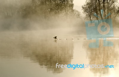 Misty Landscape Stock Photo