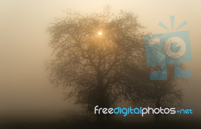 Misty Landscape Stock Photo