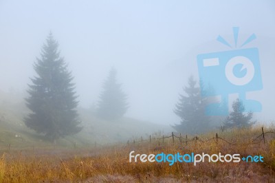 Misty Morning Stock Photo