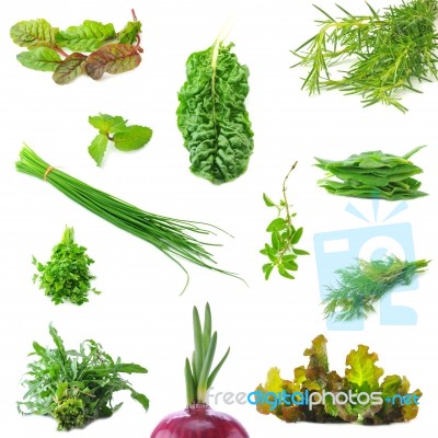 Mix Organic Salad Leaves And Salad Onion Springs Stock Photo
