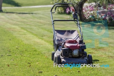 Modern Gasoline Lawn Mower Stock Photo