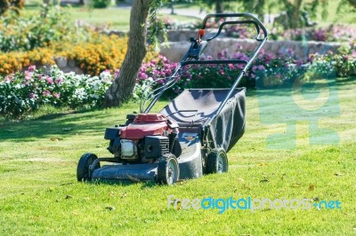 Modern Gasoline Lawn Mower Stock Photo