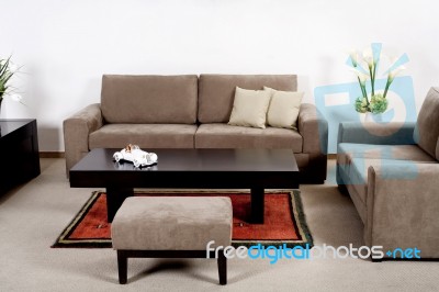 Modern Living Room With Classic Couch Stock Photo